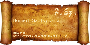 Hummel Szilveszter névjegykártya
