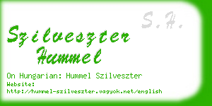 szilveszter hummel business card